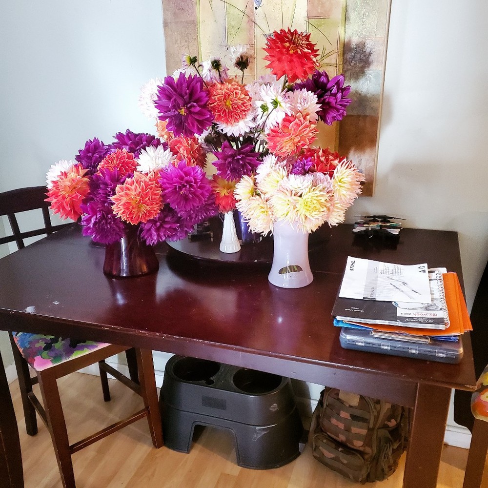 Meet your Posher, Jonathan